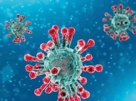 World Health Organization Coronavirus disease (COVID-19) advice for the public: Myth busters