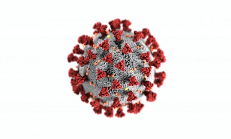 This illustration, created at the Centers for Disease Control and Prevention (CDC), reveals ultrastructural morphology exhibited by coronaviruses.