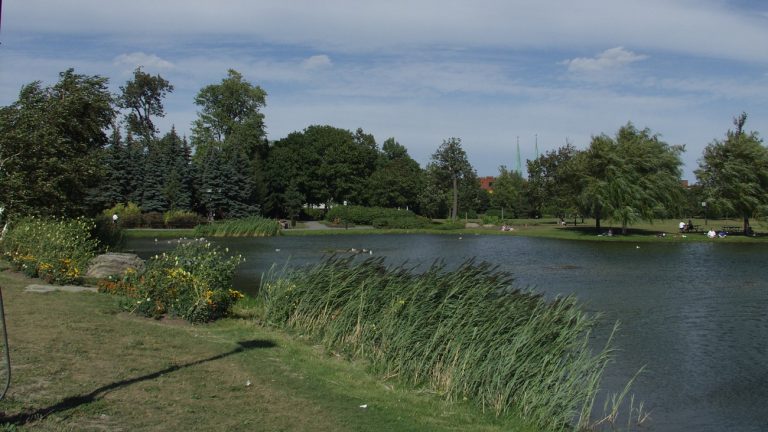 Green future for Jarry Park