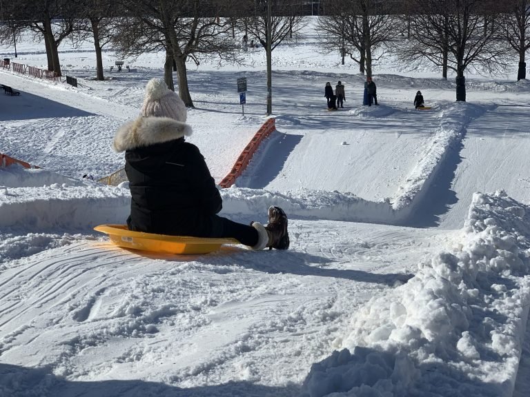 March break in Park Extension