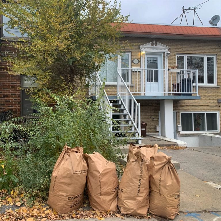 Autumns’ end in Park-Extension