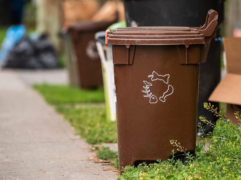 Brown bins and what you can throw in them