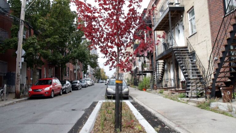 The Summer That Wouldn’t Cool: Parc-Extension’s Struggle With Heat and Housing