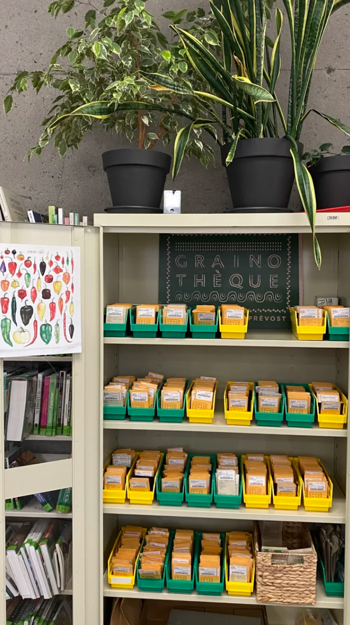 Free Seeds and Gardening Tools in Parc-Extension: Grow Your Own This Spring