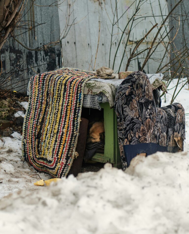 Homelessness Remains a Pressing Reality as Winter Tightens Its Grip on Montreal